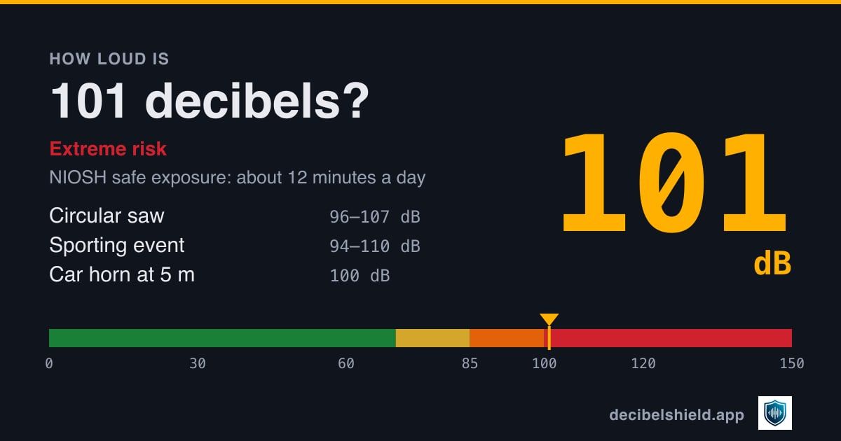 101 decibels marked on a colour-banded decibel scale from 0 to 150 dB, about as loud as circular saw or sporting event; NIOSH safe exposure about 12 minutes a day.