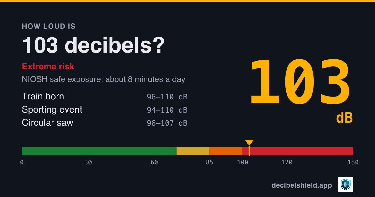103 decibels marked on a colour-banded decibel scale from 0 to 150 dB, about as loud as train horn or sporting event; NIOSH safe exposure about 8 minutes a day.