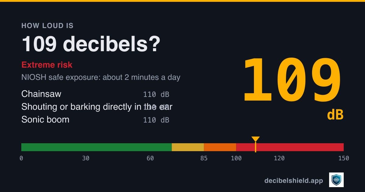 109 decibels marked on a colour-banded decibel scale from 0 to 150 dB, about as loud as chainsaw or shouting or barking directly in the ear; NIOSH safe exposure about 2 minutes a day.
