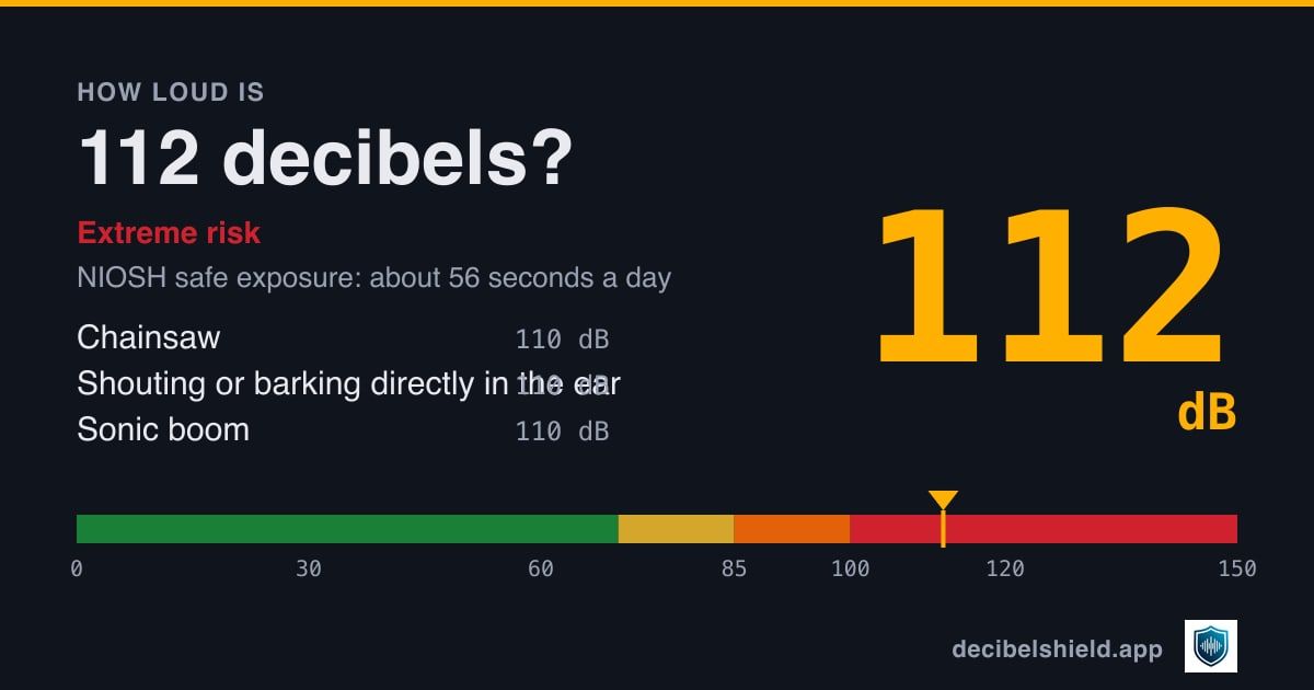 112 decibels marked on a colour-banded decibel scale from 0 to 150 dB, about as loud as chainsaw or shouting or barking directly in the ear; NIOSH safe exposure about 56 seconds a day.