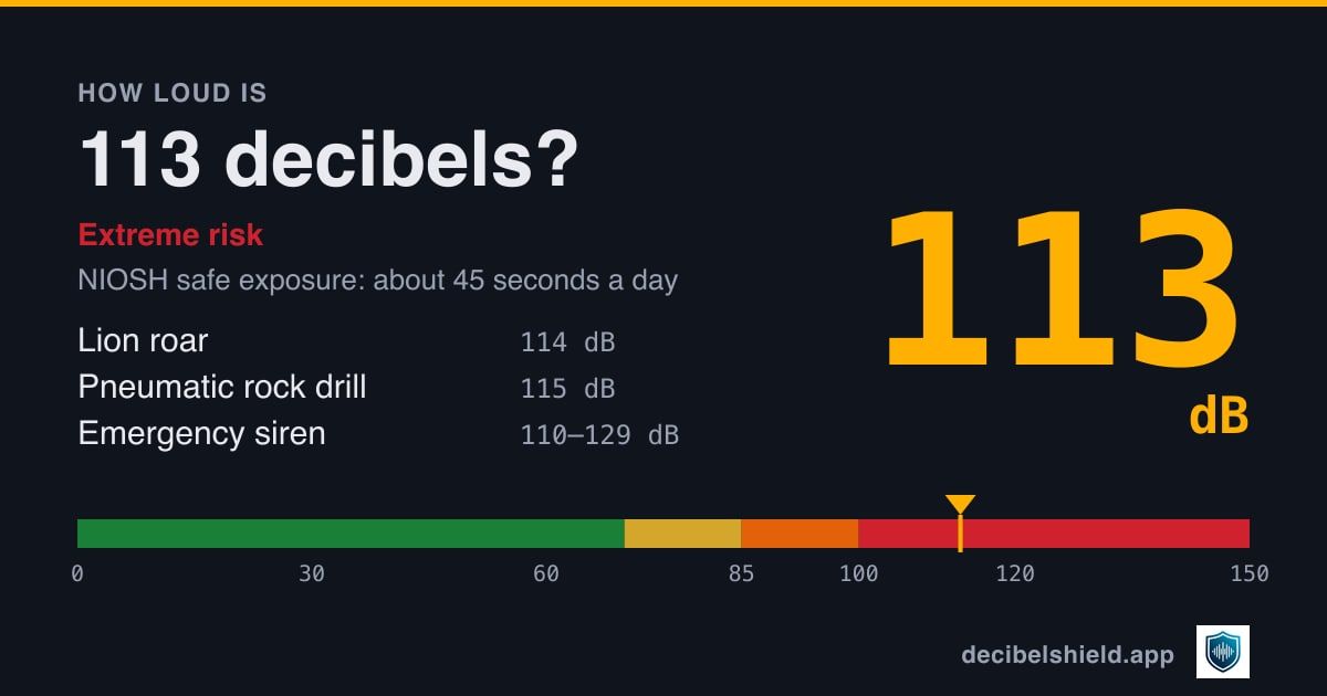 113 decibels marked on a colour-banded decibel scale from 0 to 150 dB, about as loud as lion roar or pneumatic rock drill; NIOSH safe exposure about 45 seconds a day.