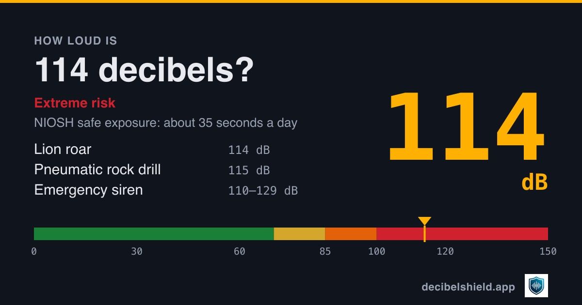 114 decibels marked on a colour-banded decibel scale from 0 to 150 dB, about as loud as lion roar or pneumatic rock drill; NIOSH safe exposure about 35 seconds a day.
