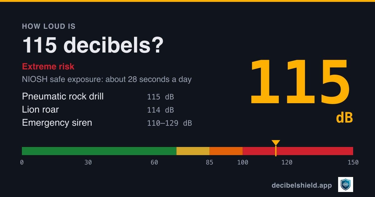 115 decibels marked on a colour-banded decibel scale from 0 to 150 dB, about as loud as pneumatic rock drill or lion roar; NIOSH safe exposure about 28 seconds a day.