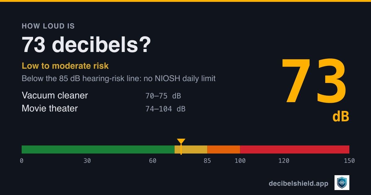 73 decibels marked on a colour-banded decibel scale from 0 to 150 dB, about as loud as vacuum cleaner or movie theater; below the 85 dB hearing-risk line.