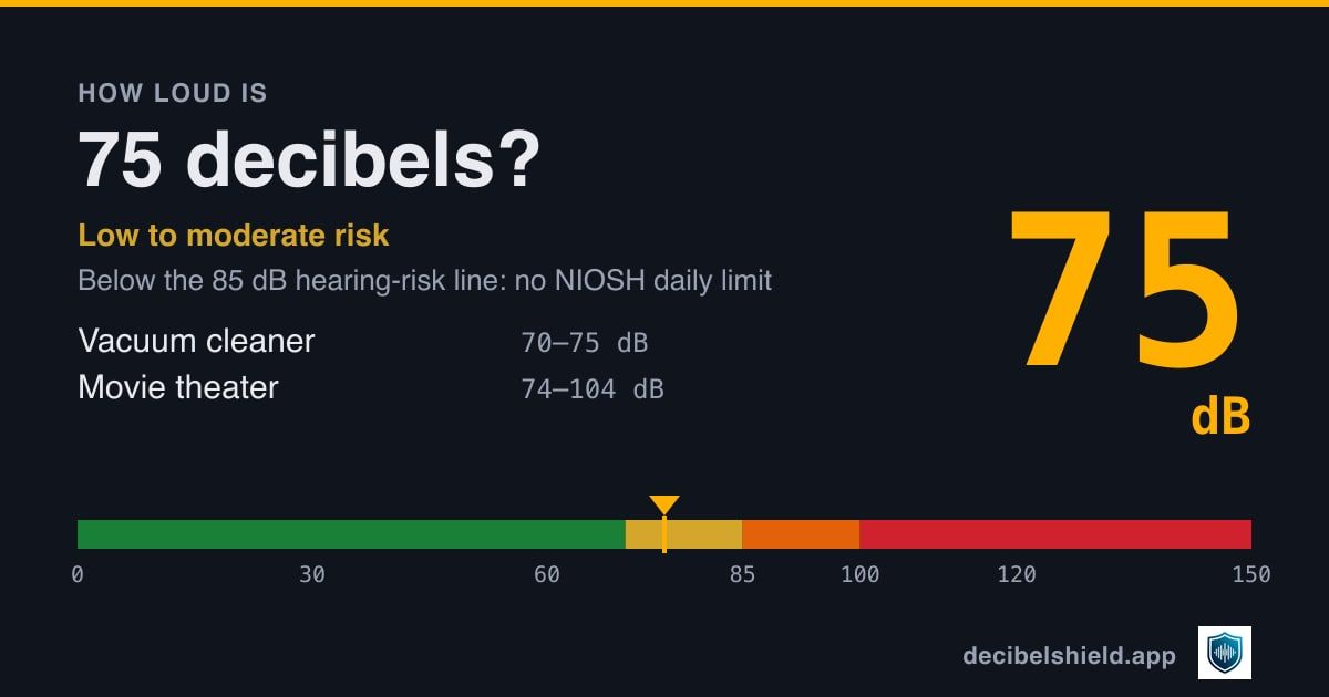 Typical Decibel Levels by Vacuum Type