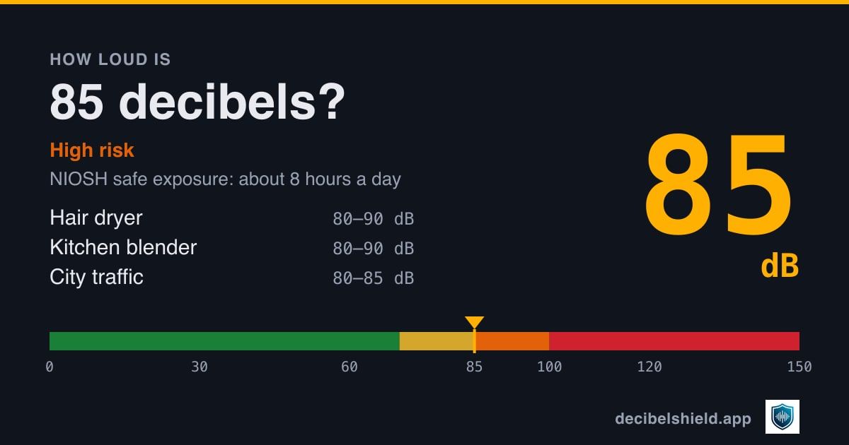 85 decibels marked on a colour-banded decibel scale from 0 to 150 dB, about as loud as hair dryer or kitchen blender; NIOSH safe exposure about 8 hours a day.
