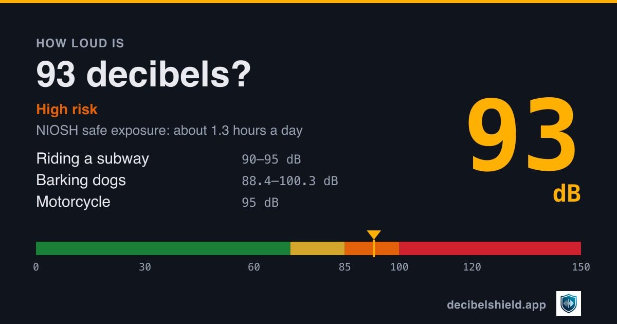 93 decibels marked on a colour-banded decibel scale from 0 to 150 dB, about as loud as riding a subway or barking dogs; NIOSH safe exposure about 1.3 hours a day.