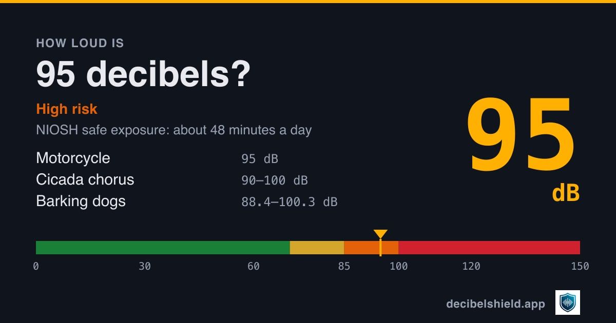 95 decibels marked on a colour-banded decibel scale from 0 to 150 dB, about as loud as motorcycle or cicada chorus; NIOSH safe exposure about 48 minutes a day.