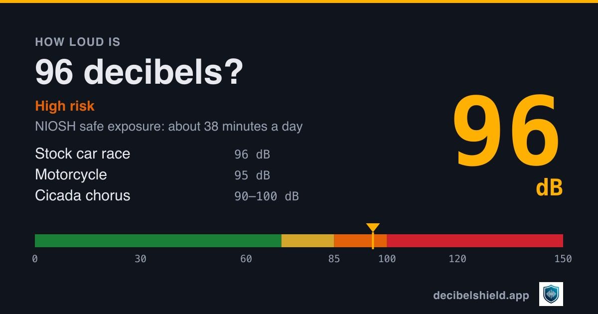 96 decibels marked on a colour-banded decibel scale from 0 to 150 dB, about as loud as stock car race or motorcycle; NIOSH safe exposure about 38 minutes a day.
