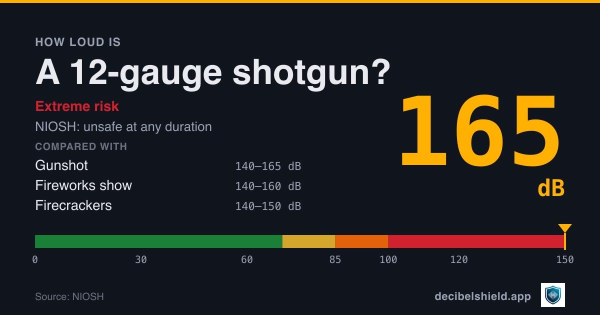 12-gauge shotgun at 165 dB marked on a colour-banded decibel scale from 0 to 150 dB, extreme risk; NIOSH safe exposure unsafe at any duration. Source: NIOSH.