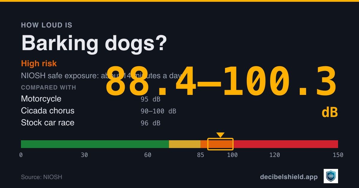 Barking dogs at 88.4–100.3 dB marked on a colour-banded decibel scale from 0 to 150 dB, high risk; NIOSH safe exposure about 14 minutes a day. Source: NIOSH.