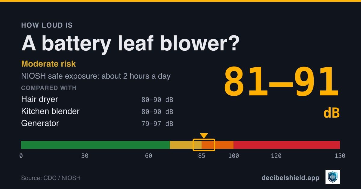 Battery leaf blower at 81–91 dB marked on a colour-banded decibel scale from 0 to 150 dB, moderate risk; NIOSH safe exposure about 2 hours a day. Source: CDC / NIOSH.