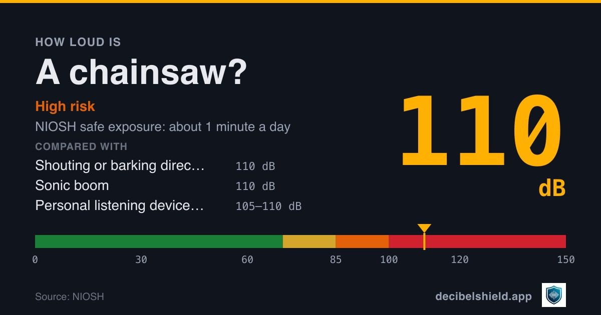 Chainsaw at 110 dB marked on a colour-banded decibel scale from 0 to 150 dB, high risk; NIOSH safe exposure about 1 minute a day. Source: NIOSH.