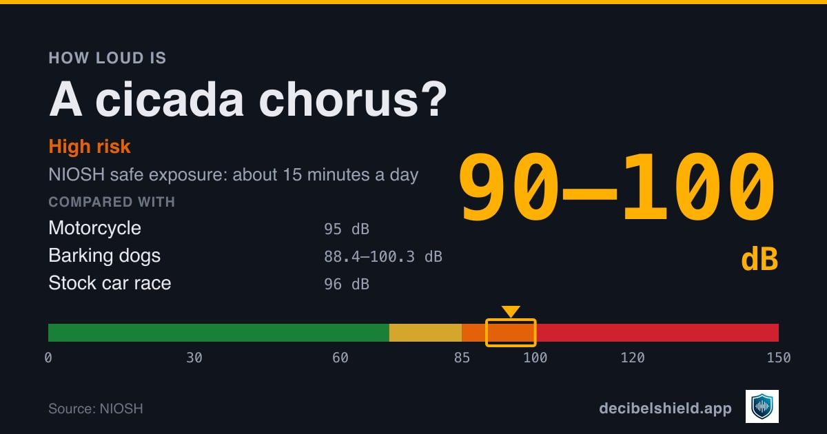 Cicada chorus at 90–100 dB marked on a colour-banded decibel scale from 0 to 150 dB, high risk; NIOSH safe exposure about 15 minutes a day. Source: NIOSH.