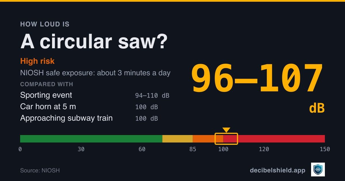 Circular saw at 96–107 dB marked on a colour-banded decibel scale from 0 to 150 dB, high risk; NIOSH safe exposure about 3 minutes a day. Source: NIOSH.