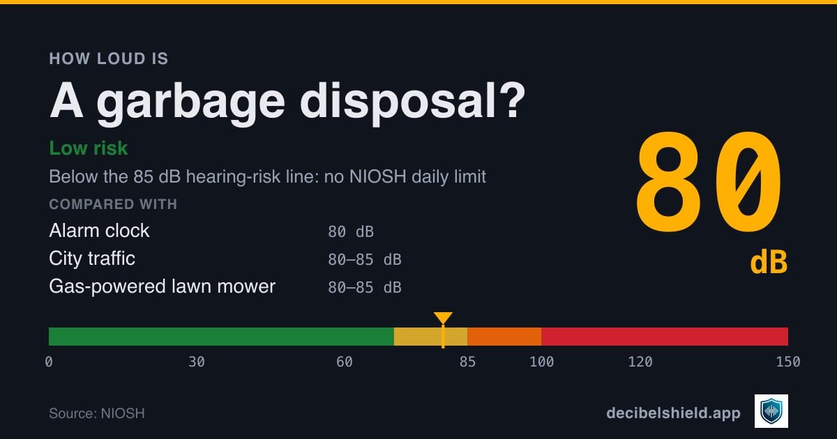 Garbage disposal at 80 dB marked on a colour-banded decibel scale from 0 to 150 dB, low risk; below the 85 dB hearing-risk line. Source: NIOSH.