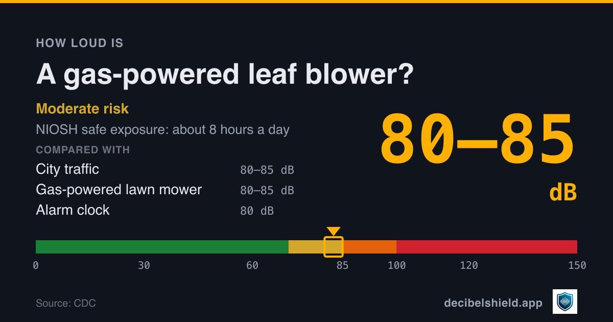 Gas-powered leaf blower at 80–85 dB marked on a colour-banded decibel scale from 0 to 150 dB, moderate risk; NIOSH safe exposure about 8 hours a day. Source: CDC.
