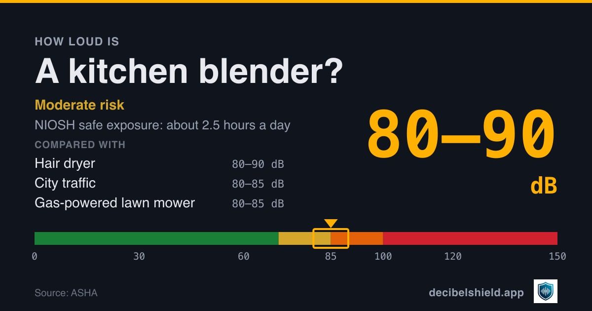 Kitchen blender at 80–90 dB marked on a colour-banded decibel scale from 0 to 150 dB, moderate risk; NIOSH safe exposure about 2.5 hours a day. Source: ASHA.