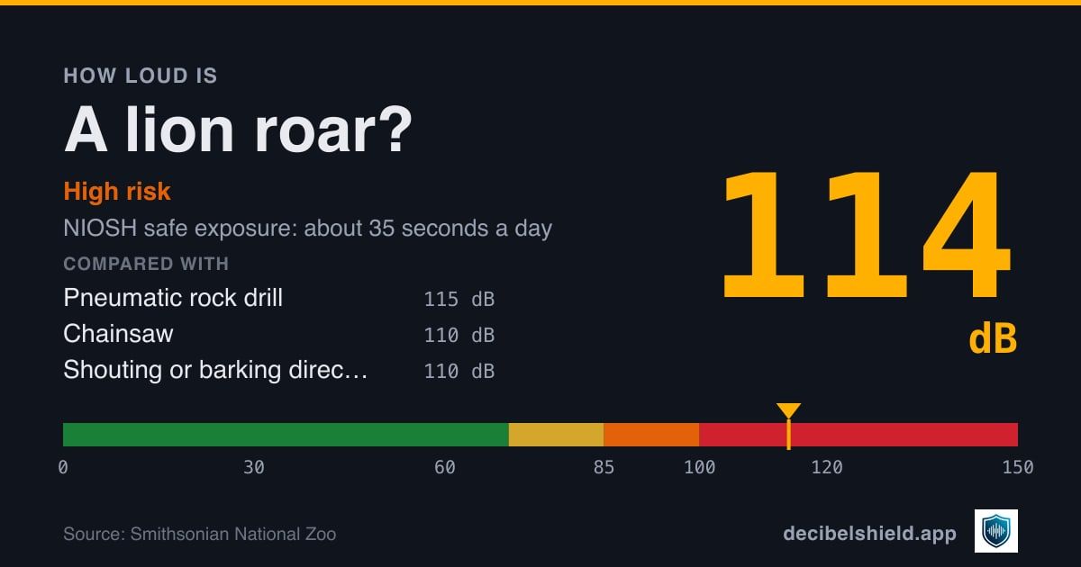 Lion roar at 114 dB marked on a colour-banded decibel scale from 0 to 150 dB, high risk; NIOSH safe exposure about 35 seconds a day. Source: Smithsonian National Zoo.