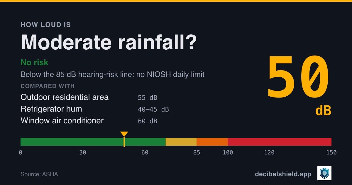 Moderate rainfall at 50 dB marked on a colour-banded decibel scale from 0 to 150 dB, no risk; below the 85 dB hearing-risk line. Source: ASHA.