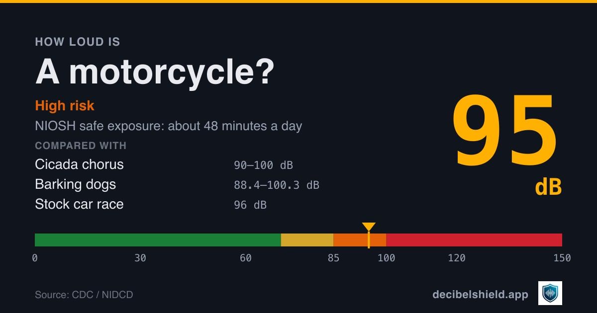 Motorcycle at 95 dB marked on a colour-banded decibel scale from 0 to 150 dB, high risk; NIOSH safe exposure about 48 minutes a day. Source: CDC / NIDCD.