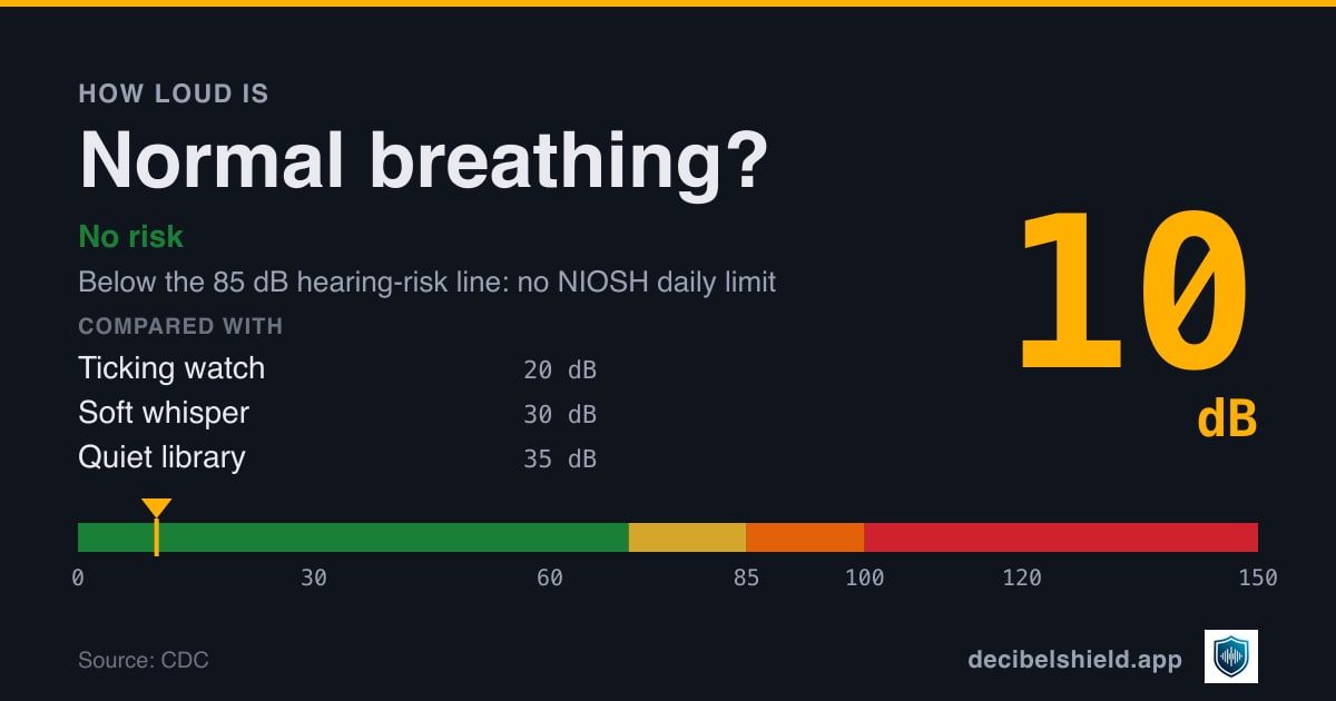 Normal breathing at 10 dB marked on a colour-banded decibel scale from 0 to 150 dB, no risk; below the 85 dB hearing-risk line. Source: CDC.