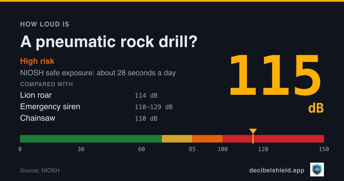 Pneumatic rock drill at 115 dB marked on a colour-banded decibel scale from 0 to 150 dB, high risk; NIOSH safe exposure about 28 seconds a day. Source: NIOSH.