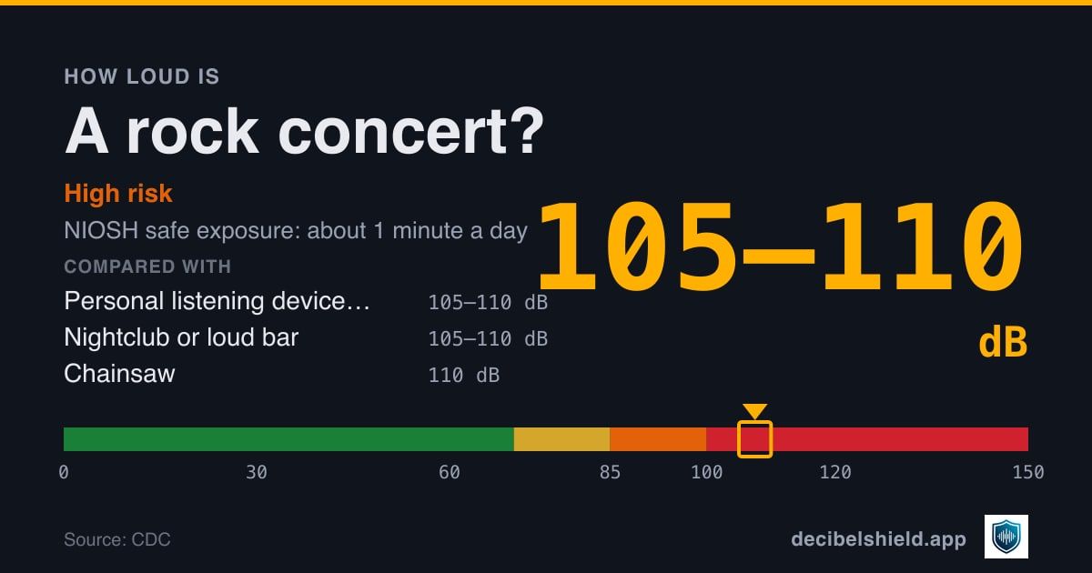 Rock concert at 105–110 dB marked on a colour-banded decibel scale from 0 to 150 dB, high risk; NIOSH safe exposure about 1 minute a day. Source: CDC.