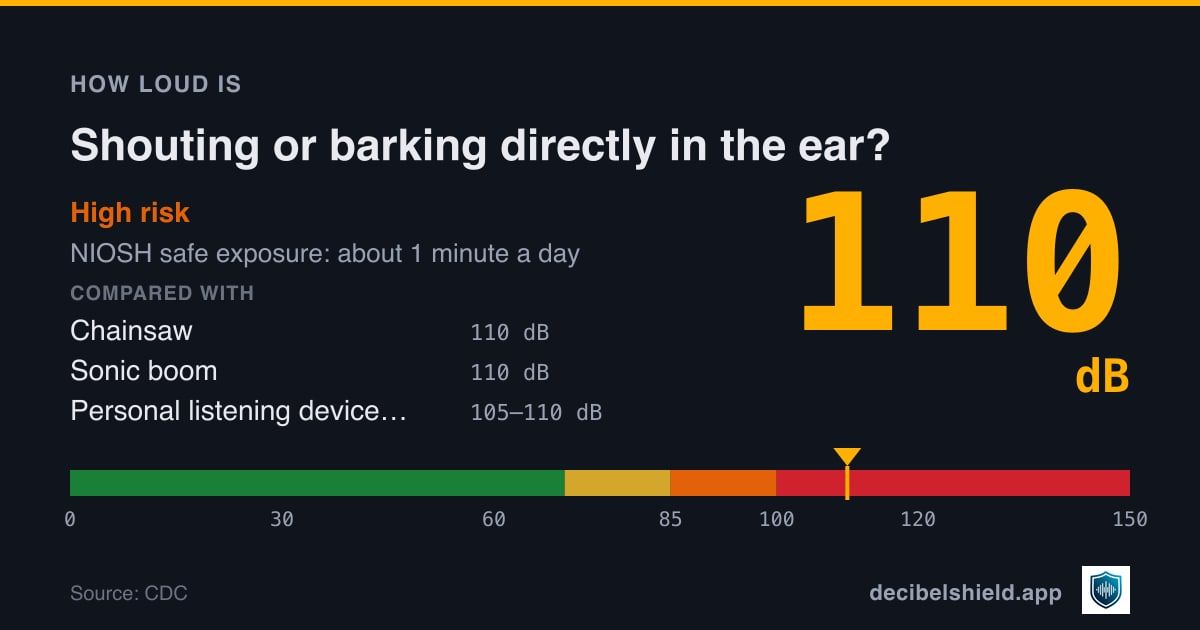 Shouting or barking directly in the ear at 110 dB marked on a colour-banded decibel scale from 0 to 150 dB, high risk; NIOSH safe exposure about 1 minute a day. Source: CDC.