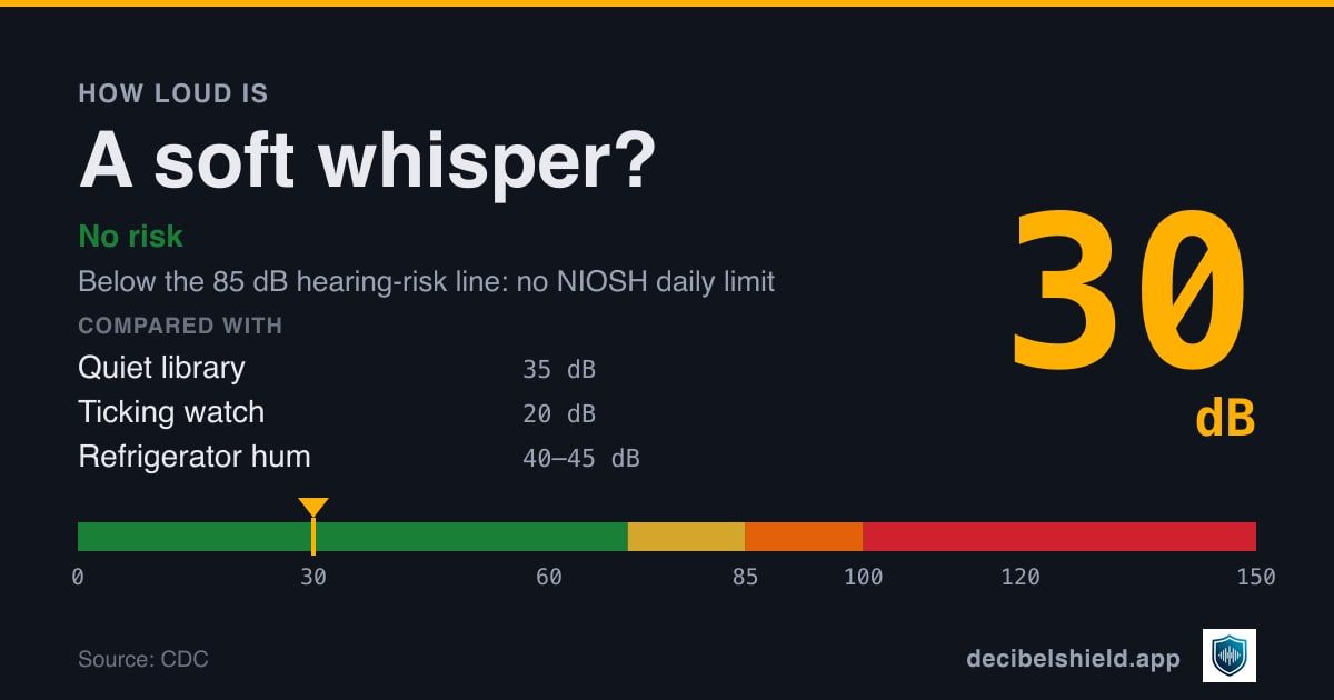 Soft whisper at 30 dB marked on a colour-banded decibel scale from 0 to 150 dB, no risk; below the 85 dB hearing-risk line. Source: CDC.