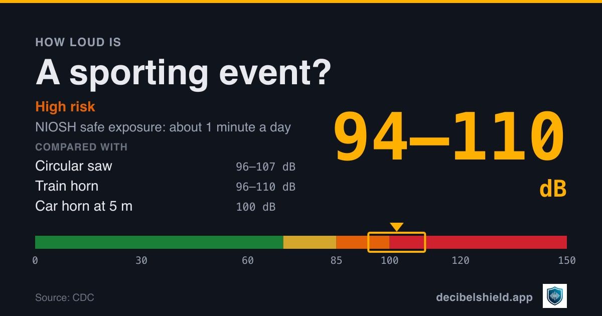 Sporting event at 94–110 dB marked on a colour-banded decibel scale from 0 to 150 dB, high risk; NIOSH safe exposure about 1 minute a day. Source: CDC.