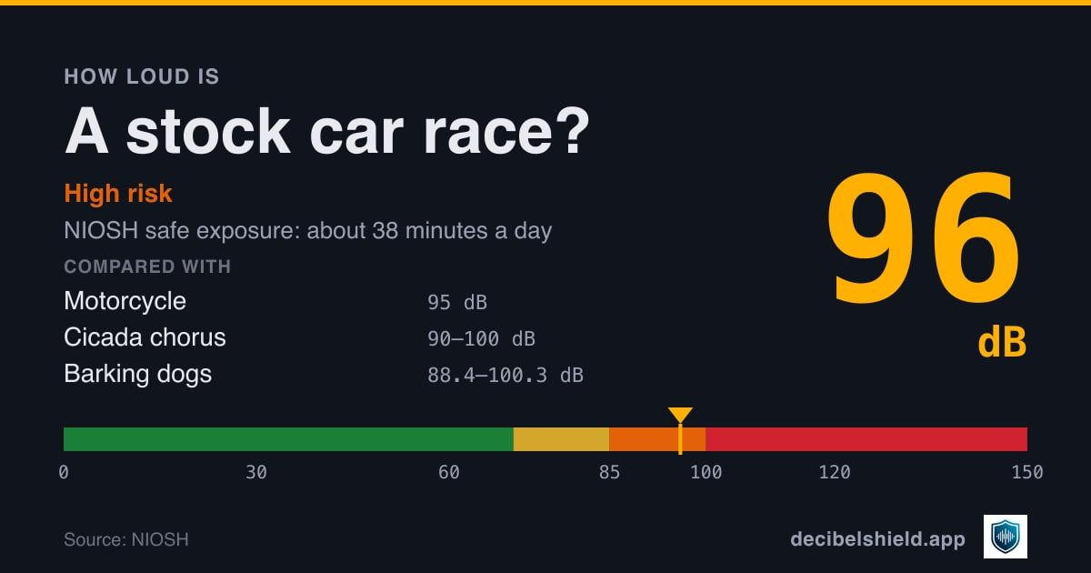 Stock car race at 96 dB marked on a colour-banded decibel scale from 0 to 150 dB, high risk; NIOSH safe exposure about 38 minutes a day. Source: NIOSH.