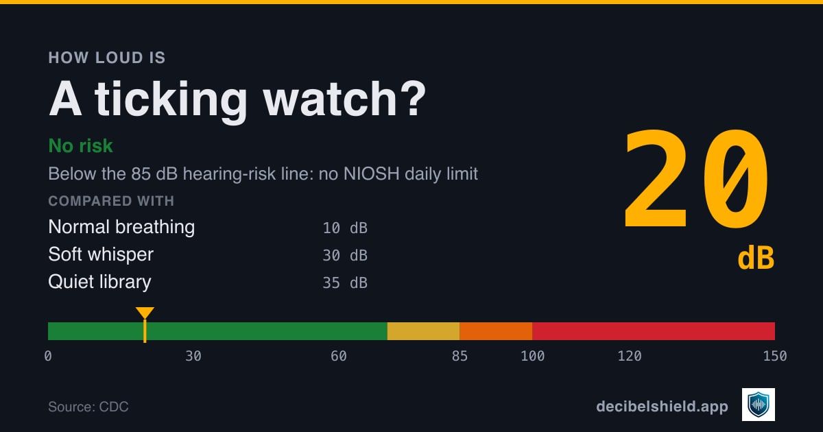 Ticking watch at 20 dB marked on a colour-banded decibel scale from 0 to 150 dB, no risk; below the 85 dB hearing-risk line. Source: CDC.